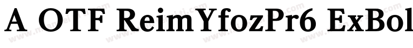 A OTF ReimYfozPr6 ExBold字体转换